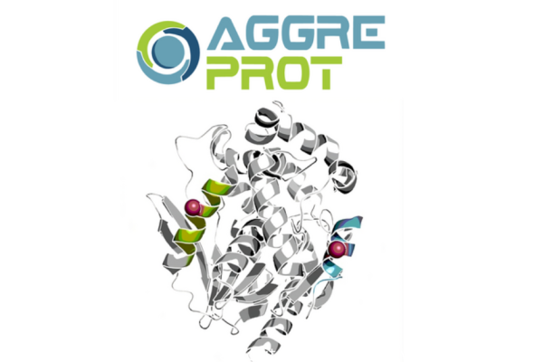 Sticky No More: New Algorithm Helps Scientists Reduce Protein Aggregation