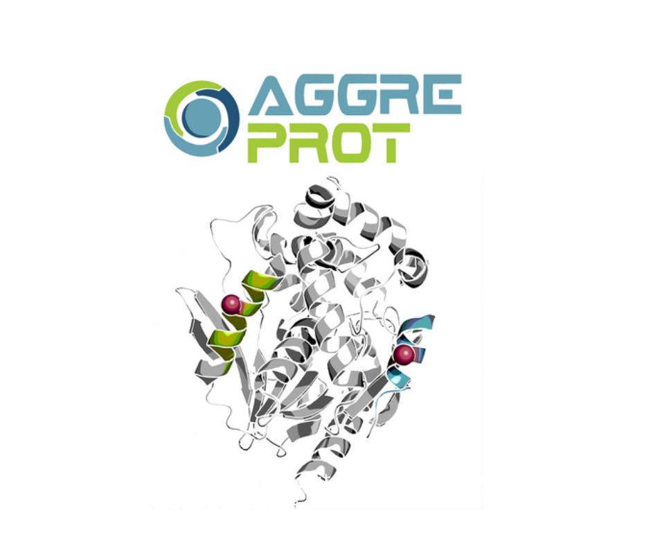 Sticky No More: New Algorithm Helps Scientists Reduce Protein Aggregation