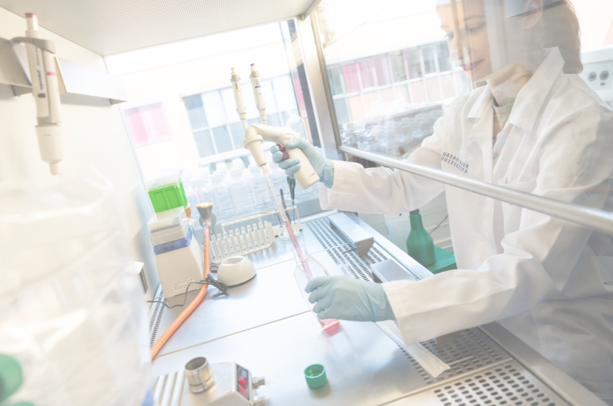 International Clinical  Research Center